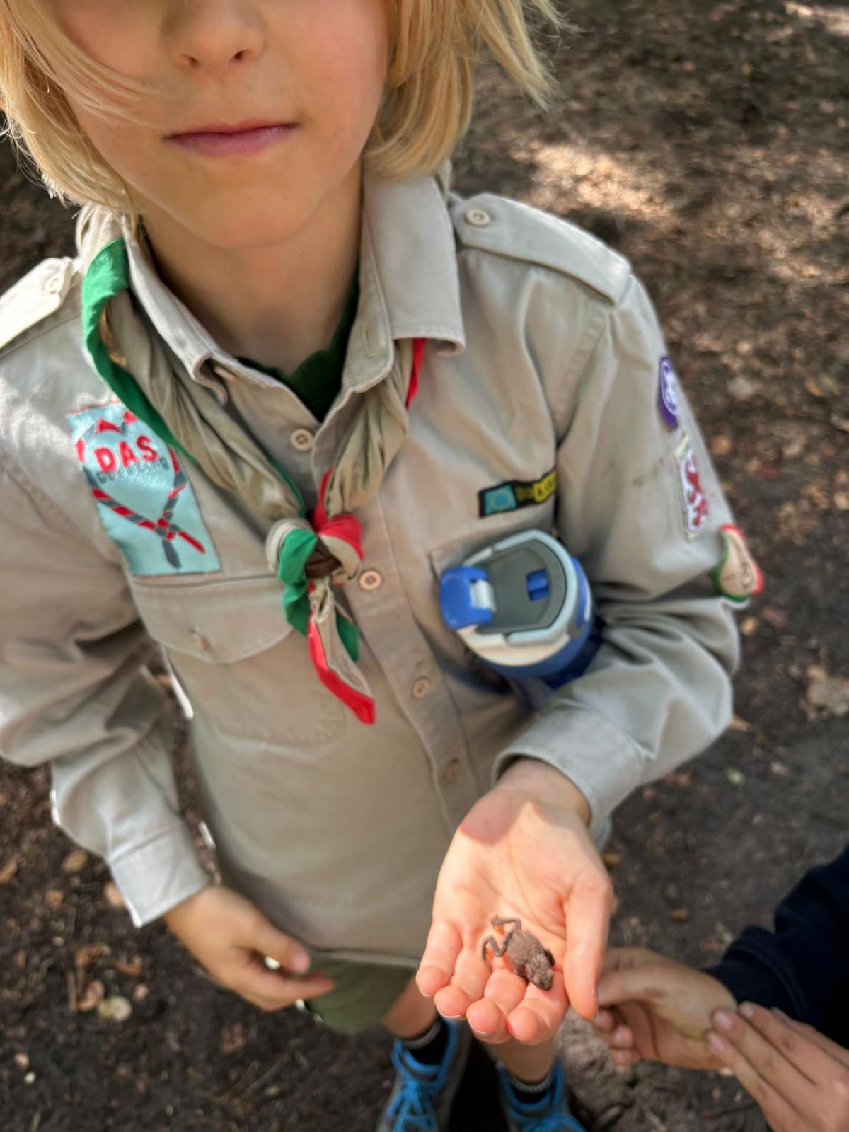 Sint-Martinus den XIIde - Opening 2024